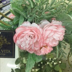 Meet your Posher, Dayanara